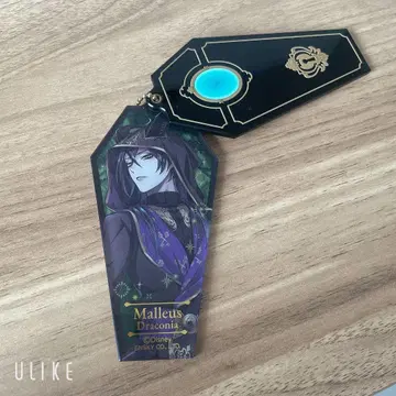 트위스테 디어소니아 기숙사 관 아크릴 키링 마레우스