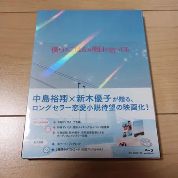 우리들의 밥은 내일 기다린다 DVD