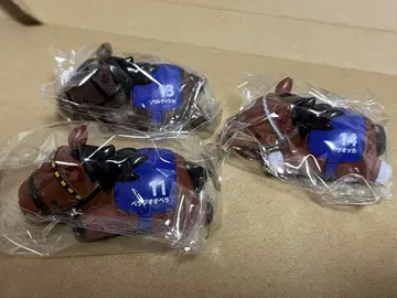 서러브레드 컬렉션 풀백 호스 3 벨라디오 오페라 서울 러쉬