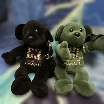 하와이 대학 봉제 인형 세트 블랙과 그린