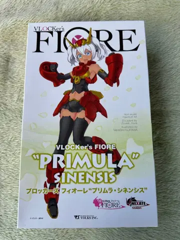 VOLKS VLOCKer's FIORE 'PRIMURA'SINENSIS