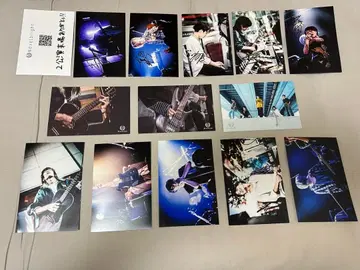 Novelbright 엽서 14장 세트 사인