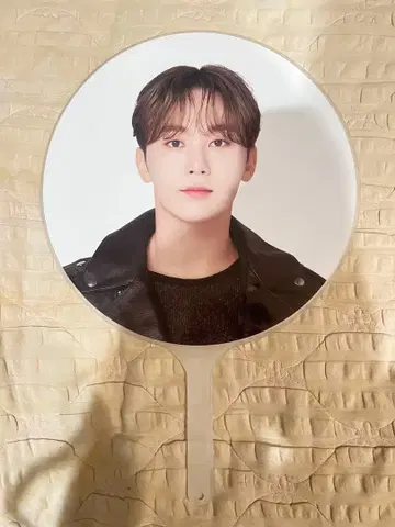 SEVENTEEN 세븐틴 follow 부채