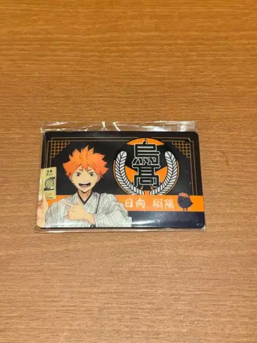 하이큐!! JR 도카이 회장 한정판 야츠하시 패스 참