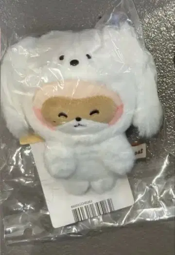 zeroni LINE FRIENDS 한국 popup hanini 하니니