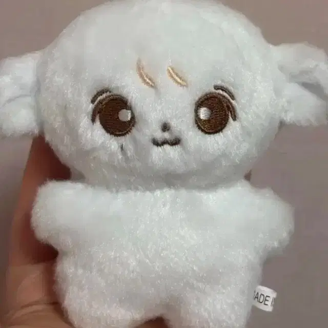 세븐틴 윤정한 인형