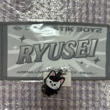 카이누마 류세이 이어지는 참 미니 타월