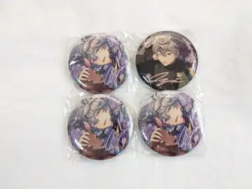 세나 이즈미 모집 캔뱃지 중국 A B