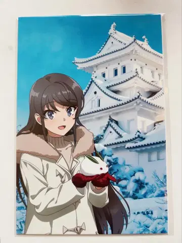 JR 도카이 x 청춘 돼지 최애 여행 엽서 2장 세트