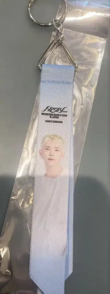 SEVENTEEN 야바톤 콜라보 조슈아 세부치 키링