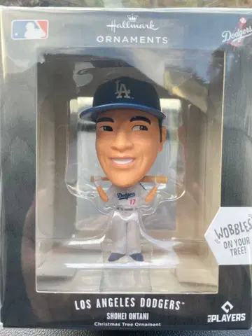 오타니 쿄헤이 보벨 헤드