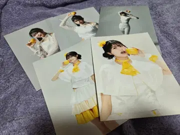 링고무스메 금성 브로마이드 5장 세트