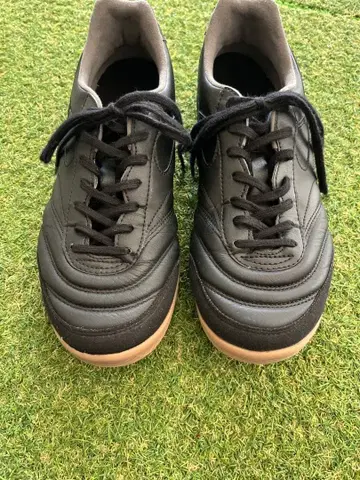 MORELIA SALA ELITE 실내 24.5