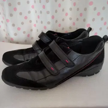 에코 ecco 스니커즈