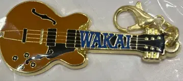 MGA MAGICAL 10 YEARS FILM 메탈 참 B 와카이 히로토