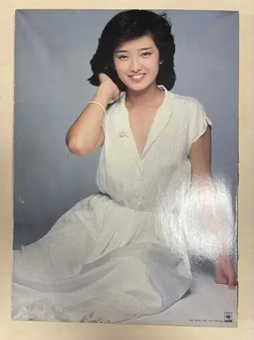 [레어] 야마구치 모모에 포스터 패널