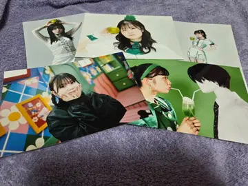 사과 아가씨 하츠코이구린 브로마이드 5장 세트