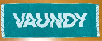 vaundy 자카드 타월 터콰이즈 그린