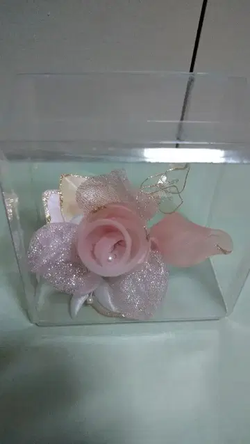 코사지 졸업, 입학에