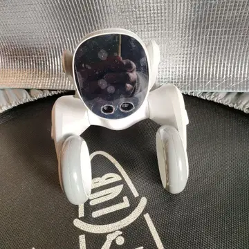 루나 로봇 루나