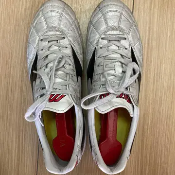 모렐리아 2 Japan 크로스 스티치