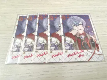 니지산지 호시미치 쇼 폴라로이드