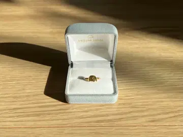 [ 케이스케 칸다 ] 코끼리 반지