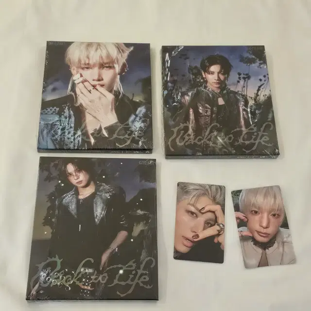 앤팀 백투라 미개봉 로어 앨범 3 + 포카 2 유마 조 하루아 케이 마키