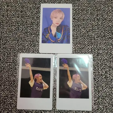 팬더드래곤 타이거 하피카 3장 세트