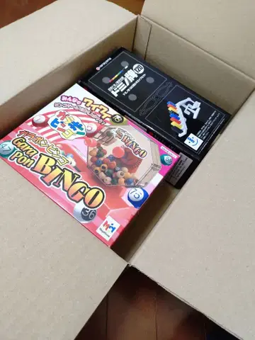 빙고 게임과 도미노 게임