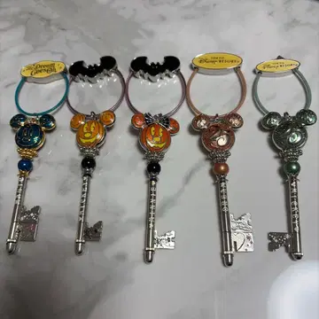 도쿄 디즈니랜드 25주년 드림 키