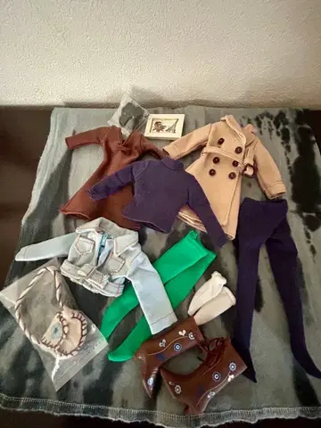 브라이스 아웃핏 일괄