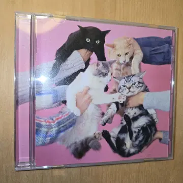 키노코 테이코쿠 앨범 CD [ 고양이와 알레르기 ] 밴드 사토 치아키