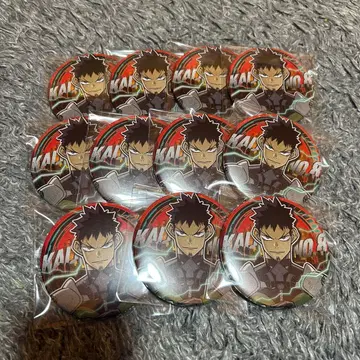 괴수 8호 괴수 8호전 컬렉션 캔뱃지 히비노 카프카 11점