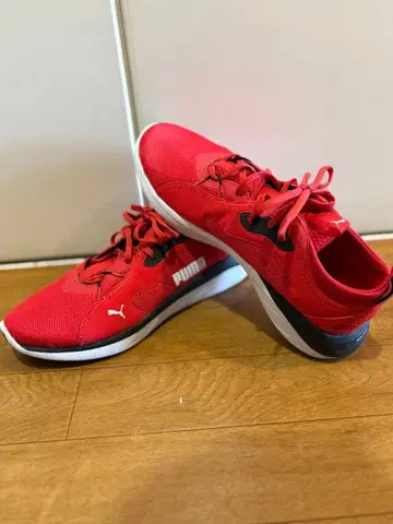 Puma 레드 러닝화