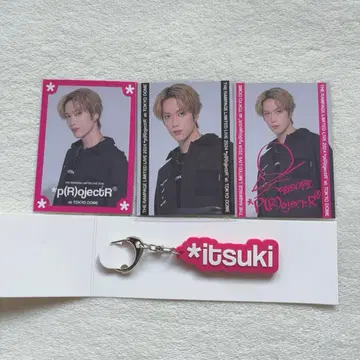 후지와라 이츠키 러버 네임 트레이딩 카드 세트