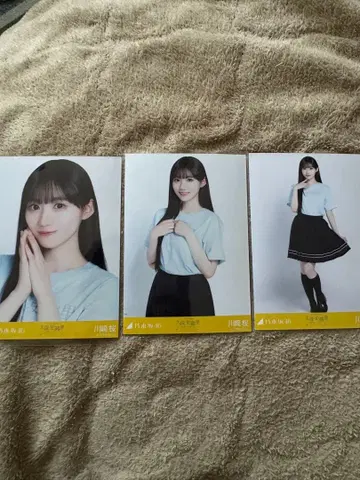 노기자카46 카와사키 벚꽃 브로마이드 컴프