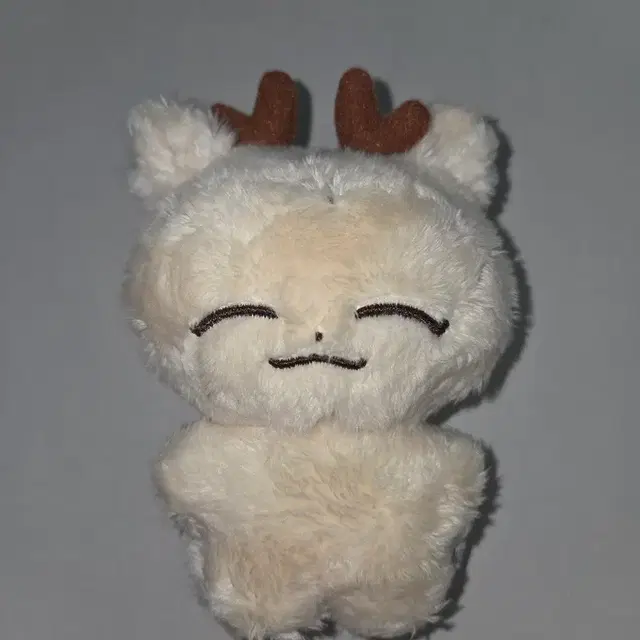 세븐틴 조슈아 인형 절미슈 양도