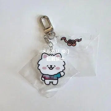 [ 익명 배송 ] LESSERAFIM FIMSCLUB 아크릴 키링