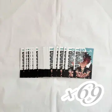 히로아카 토도로키 쇼토 명함 카드 giga 69장