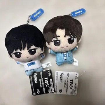 TWS 투아스 SD 인형 SHINYU 신유 DOHOON 도훈 세트