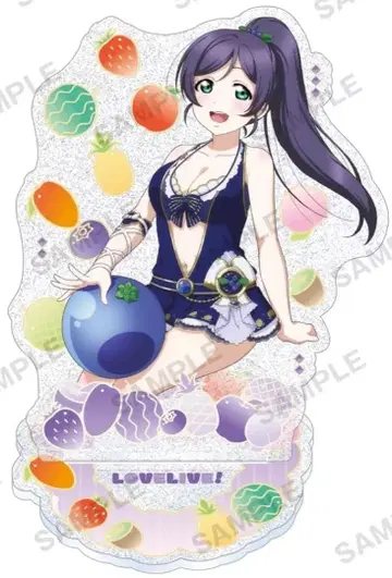 러브 라이브 토죠 노조미