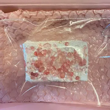 순니 수이징 스퀴즈