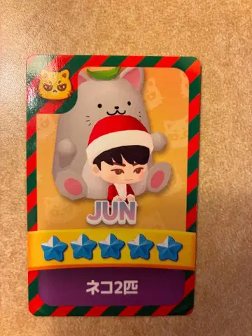 SEVENTEEN 세븐틴 준 퍼즐 트레이딩 카드 퍼즐