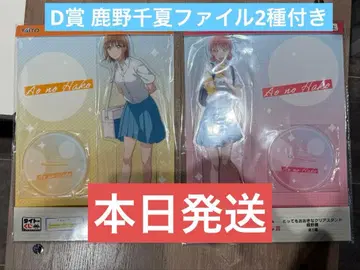 다이토 복권 푸른상자 아주 큰 클리어 스탠드 2종 세트