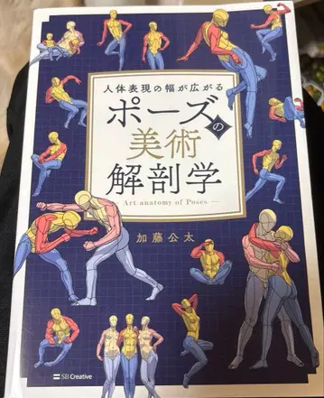 포즈의 미술 해부학