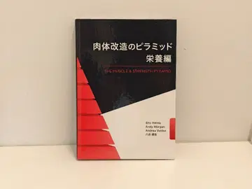 신체 개조의 피라미드 영양편