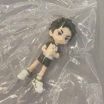 PalVerse 하이큐!! vol.2 아카아시 케이지