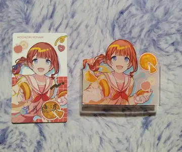 프로세카 벌스데이 금박