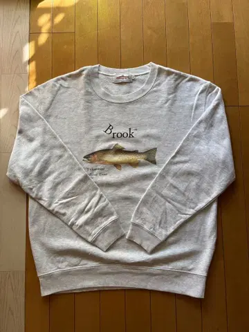 브룩 맨투맨 오트밀 색상